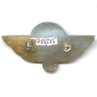 Escadron Parachutiste de la Garde de Cochinchine , retirage US