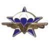 1° Régiment de Chasseurs Parachutistes , résine, pastille ronde