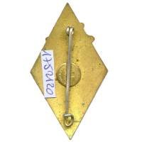 159° Régiment d'Infanterie Alpine , feuilles et tige vertes, Ab + adresse sur boléro