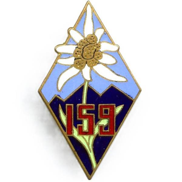 159° Régiment d'Infanterie Alpine , feuilles et tige vertes, Ab + adresse sur boléro