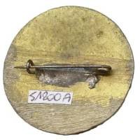 1° Automitrailleuses du Levant / EMMNS  Escadron Moto Mécanisé Nord Syrie , croissant bleu, gazelle jaune