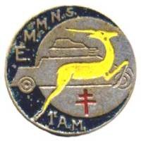 1° Automitrailleuses du Levant / EMMNS  Escadron Moto Mécanisé Nord Syrie , croissant bleu, gazelle jaune