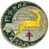 1° Automitrailleuses du Levant / EMMNS  Escadron Moto Mécanisé Nord Syrie , gazelle jaune, sans attache