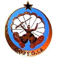 602° Groupe d'Infanterie de...