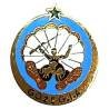 602° Groupe d'Infanterie de l'Air / Compagnie Parachutiste , émail, retirage