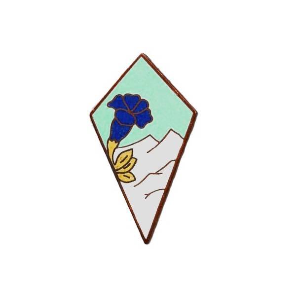 27° Division d' Infanterie Alpine , montagne blanche, émail