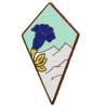 27° Division d' Infanterie Alpine , montagne blanche, émail
