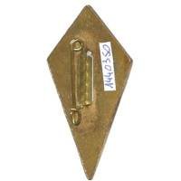 27° Division d' Infanterie Alpine , montagne blanche, émail