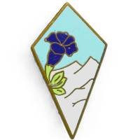 27° Division d' Infanterie Alpine , montagne blanche, émail