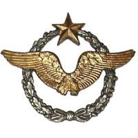 Brevet de Pilote d'Avion
