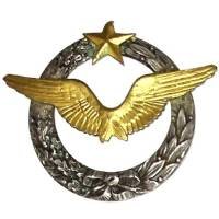 Brevet de Pilote d'Avion...