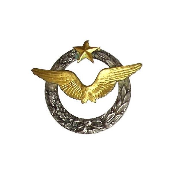Brevet de Pilote d'Avion  (ancien) , 42 mm, anneaux