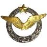 Brevet de Pilote d'Avion  (ancien) , 42 mm, anneaux
