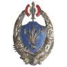 5° Régiment Etranger d'Infanterie , francisque, fond bleu fonçé, flamme argentée, peint