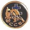 13° DBLE / Compagnie de Commandement et des Services , légionnaire