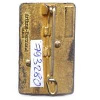 3° Régiment Etranger d'Infanterie / Compagnie de Commandement et Logistique , caïman, vert / rouge  , SELVA