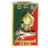 3° Régiment Etranger d'Infanterie / Compagnie de Commandement et des Services , type 2, caïman , vert sur rouge