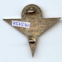 Gpt de Commandos Paras de Réserve Générale, guilloché
