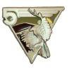 2° Régiment Etranger Parachutiste / 5° Compagnie Désertique / 4° Section , aigle, numéroté 100