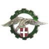 142° / 14° Groupe Régional de Transport , aigle sur blason de Savoie