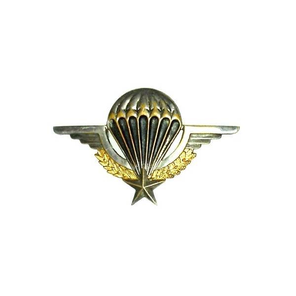 Brevet de Parachutiste , matriculé 519218