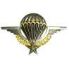 Brevet de Parachutiste , matriculé 519218