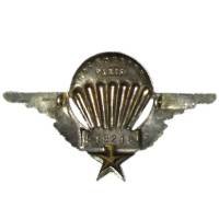 Brevet de Parachutiste , matriculé 519218