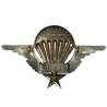 Brevet de Parachutiste , matriculé 519218