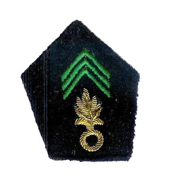 Patte de col , grenade canetille, 3 chevrons, variante