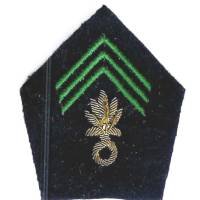 Patte de col , grenade canetille, 3 chevrons