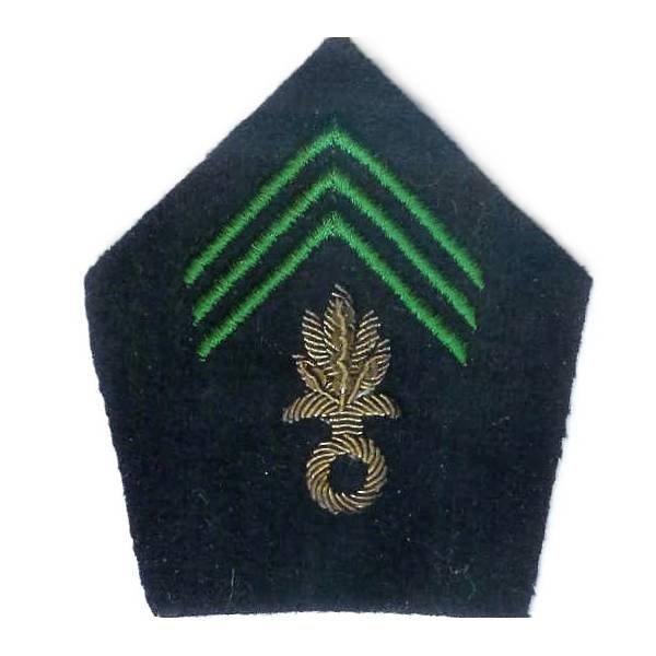 Patte de col , grenade canetille, 3 chevrons