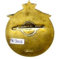 9° Régiment de Tirailleurs Algériens , aigle orange au dessus d'un paysage montagneux, 41 mm, quelques petits cheveux