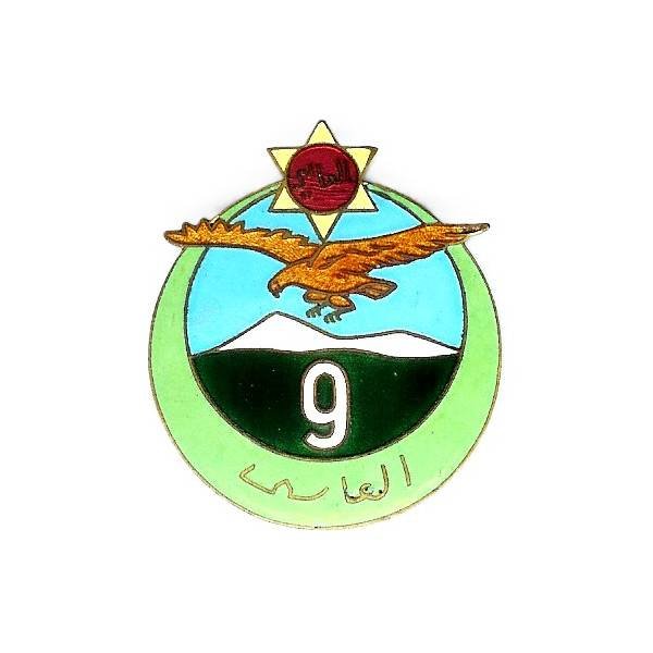 9° Régiment de Tirailleurs Algériens , aigle orange au dessus d'un paysage montagneux, 41 mm, quelques petits cheveux