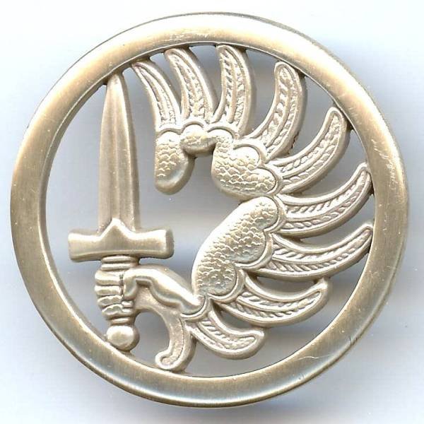 Insigne de bérêt des Troupes Aéroportées Métropolitaines , 43 mm, finition mate