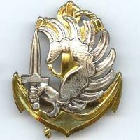 Insigne bérêt paras...