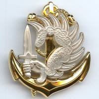 Insigne bérêt paras...