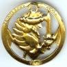 Insigne bérêt paras coloniaux, doré, type 2