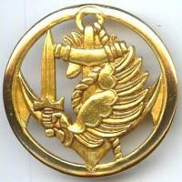 Insigne bérêt paras...