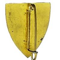 37° Régiment d'Infanterie , Turenne, Régiment des Vosges, 25 x 29, épingle dans tube