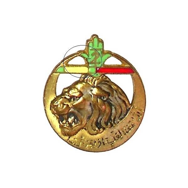 2° Régiment de Tirailleurs Algériens , tête de lion, barre droite aux couleurs Légion d'Honneur et Médaille Militaire, éclat
