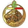 2° Régiment de Tirailleurs Algériens , tête de lion, barre droite aux couleurs Légion d'Honneur et Médaille Militaire, éclat