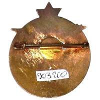 9° Régiment de Tirailleurs Algériens , aigle orange au dessus d'un paysage montagneux, 41 mm