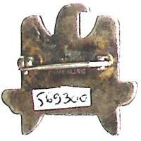 Ecole de Pilotage  aux USA , "ils grandiront", poussins tricolores sur fond d'aigle US, en argent, écailles sur la tête